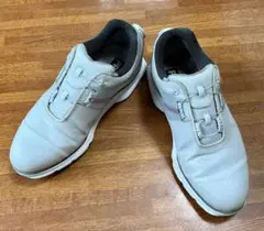 FJ フットジョイPRO/SL SPORTボアスパイクレスゴルフシューズ26のサムネイル