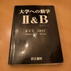 大学への数学 II&B 研文書院のサムネイル