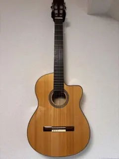 スペイン製エレガットギター Camps CUT-900-S/FLEX BL - メルカリ