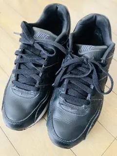 ナイキ エア マックス コマンドレザー