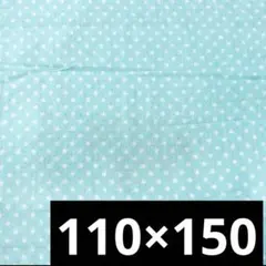 Item thumbnail for item b83f3a61-13e4-4151-8ec3-3e2f783d3295