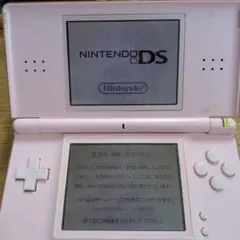 【完動品】ニンテンドーds lite