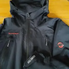 MAMMUT GORE-TEX マウンテンパーカー　アジアンM