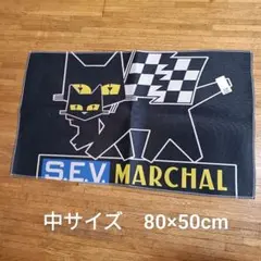 Item thumbnail for item 55f079fb-3f1d-4d49-93db-5e56b7854b2a