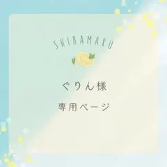 ぐりん様専用ページ4枚セット