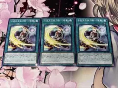 メル将軍様 リクエスト 3点 まとめ商品