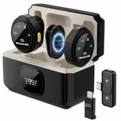 Item thumbnail for item 6189c9c8-9e82-412f-befb-a45540c14d5c