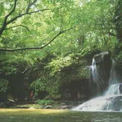 顔を洗う水うるおい素肌✨リピーター様専用✨のサムネイル