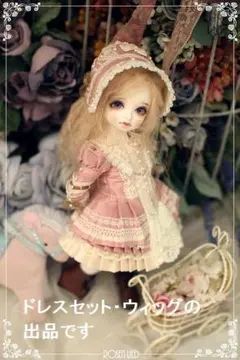 Rosenlied 限定火曜子 RDTL 103 ドレスセットとウィッグ 2025年最新】ROSEN LIED limitedの人気アイテム - メルカリ