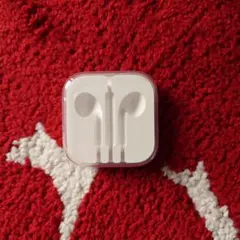 Apple　イヤホンケース