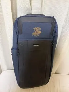 Item thumbnail for item 437d7d3a-42be-46d7-8976-152719c46a8b