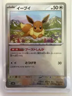 2026年最新】イーブイex マスターボールの人気アイテム - メルカリ