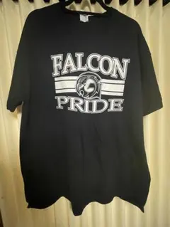 古着 Jerzees Falcon Pride Tシャツ XL