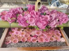 ととちゃん様専用☆