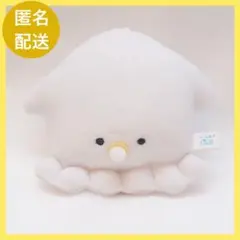 つぶらな瞳の 水族館 むぎゅぬい ベビーいか ぬいぐるみ マスコット