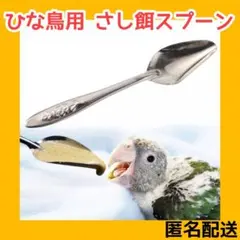 잉꼬 2마리, 병아리, 병아리, 숟가락, 미끼, 핸드라이드