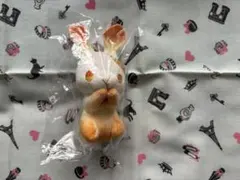 2025年最新】鼻兎の人気アイテム - メルカリ