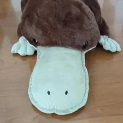 カモノハシのぬいぐるみ 約60cm