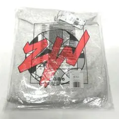 NIKE　Zion Graphic フリースフーディー　70240425M03S