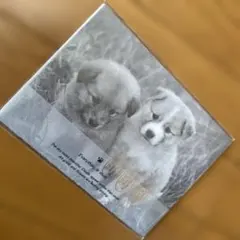 平成　レトロ　子犬　レターセット　メモ帳