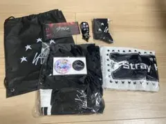 Stray Kids 5-STAR Dome Tour アップグレード セット