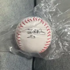 プロ野球選手 直筆サインボール 背番号23 サノーのサムネイル