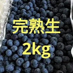 ☆令和8年 生ブルーベリー☆農薬不使用 2㌔ - メルカリ