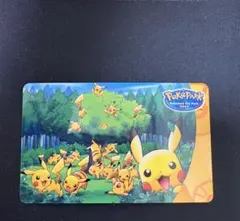 じ*け様 ポケパーク Edyカード ピカチュウの森