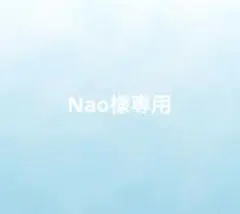 Nao様専用