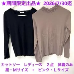 ★期間限定 カットソー　黒・Ｍサイズ　+　ピンク・Ｌサイズ　２点　試着のみのサムネイル