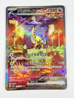 2026年最新】タケルライコex sarの人気アイテム - メルカリ