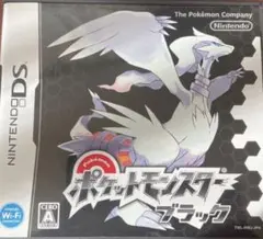 箱・説明書付き】ポケットモンスター ブラック2・ホワイト2 2点セット