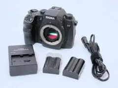 2026年最新】SIGMA SD1 merrillの人気アイテム - メルカリ