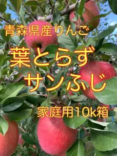 青森県産りんご　葉とらずサンふじ　家庭用10k箱65