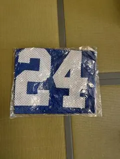 アメリカンフットボール　メッシュシャツ　24番