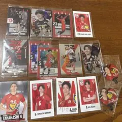 日本代表男子バレーボール まとめ売り