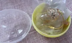 2*★様 正規品うちの子のけだまだま茶トラ　ガチャガチャ