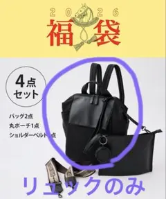 未使用タグ付き⭐︎2026ear PAPILLONNER福袋　リュックのみのサムネイル
