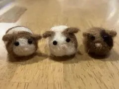 【豆モル】モルモット⭐︎羊毛フェルト⭐︎３匹セット