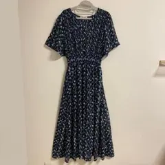 Item thumbnail for item 51912bf1-27ed-488a-b636-3f28765dc418