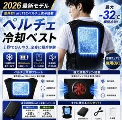 Bornet ペルチェベスト 業界最大46000mAh BMS高性能バッテリー - メルカリ