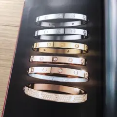 カルティエ　カタログ　2015年　Cartier　ジュエリーカタログ　ビンテージのサムネイル