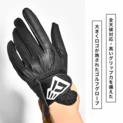 Item thumbnail for item 0d9c3a5a-15df-4cac-be4d-d4ac747ffab5