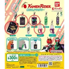 仮面ライダーめじるしアクセサリー　4点セット