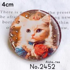 NO.60❤カ・メ・ラ❤ネコ❤持っちゃってますシリーズ❤レジンヘアゴム 同梱100円引❤️No.2769 レジン ヘアゴム ♡ 猫 ネコ ねこ ♡ 薔薇
