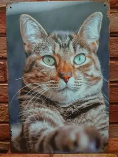 Item thumbnail for item a4a4d89f-5a75-46b1-9ffc-17277c54fcef