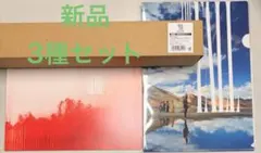 映画 落下の王国 豪華版 特別色仕様 ポスター クリアファイル　パンフレット