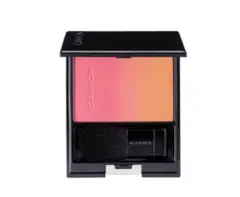 2025年最新】SUQQUスックピュアカラーブラッシュの人気アイテム - メルカリ