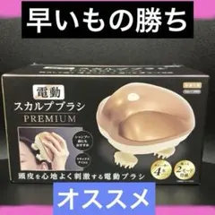 電動スカルプブラシ PREMIUM 2モード搭載のサムネイル