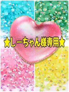 ★しーちゃん様専用★